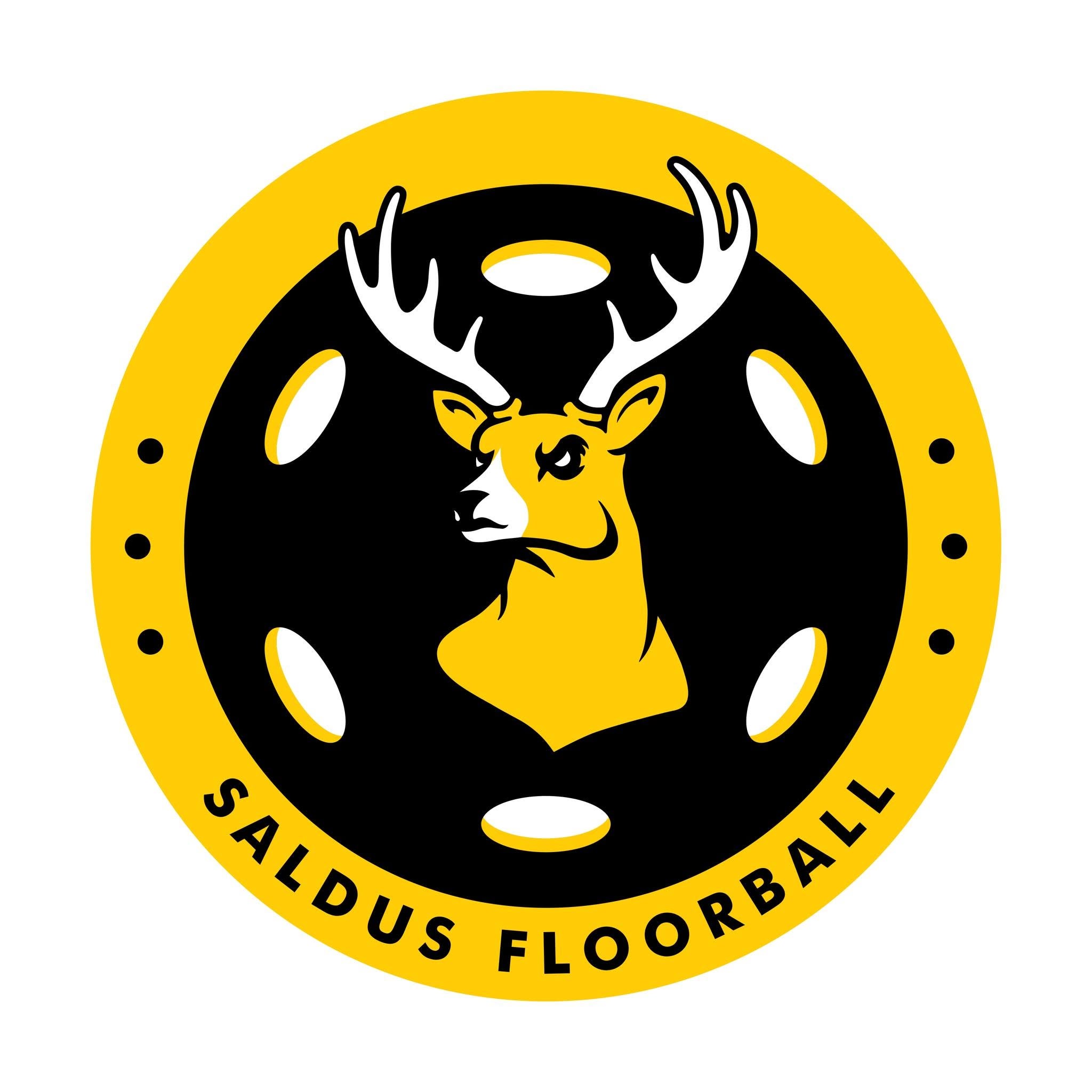 team image